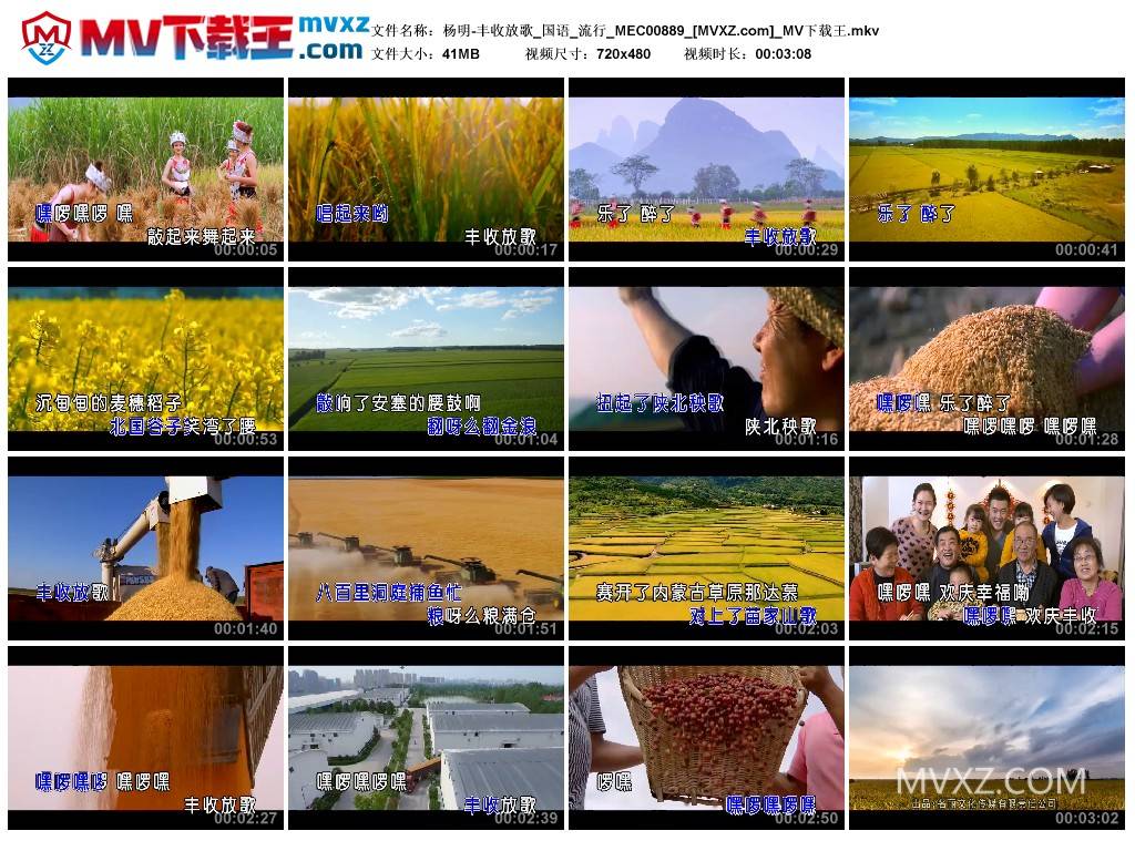 杨明-丰收放歌_国语_流行_MEC00889